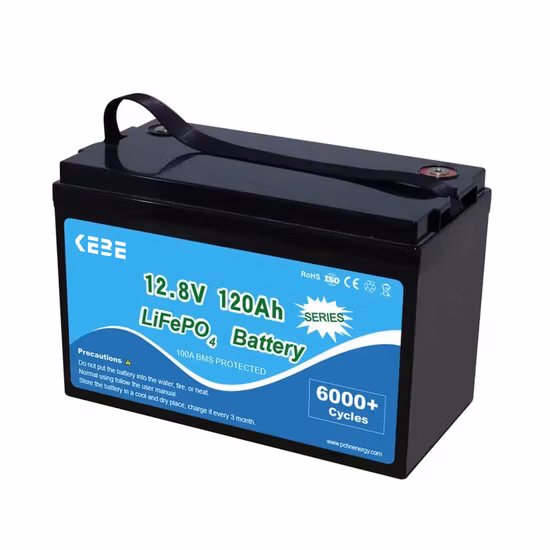 Batteria al litio 12V 24V 100ah 200ah 300ah 50ah 12V/24V LiFePO4 Batterie zum Solarfabrikpreis